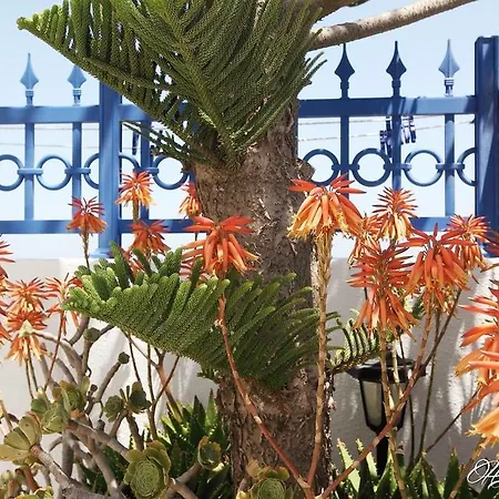 Happening Imerovigli (Santorini)
